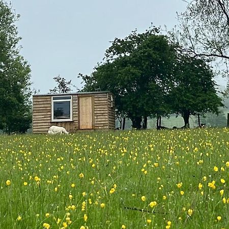 Off Grid Shepherds Hut Hotel Llansilin Buitenkant foto