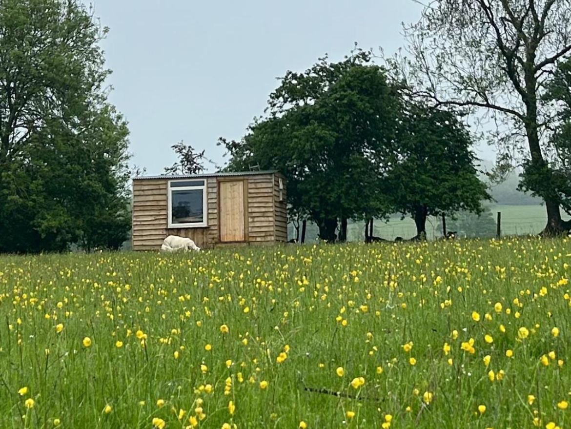 Off Grid Shepherds Hut Hotel Llansilin Buitenkant foto