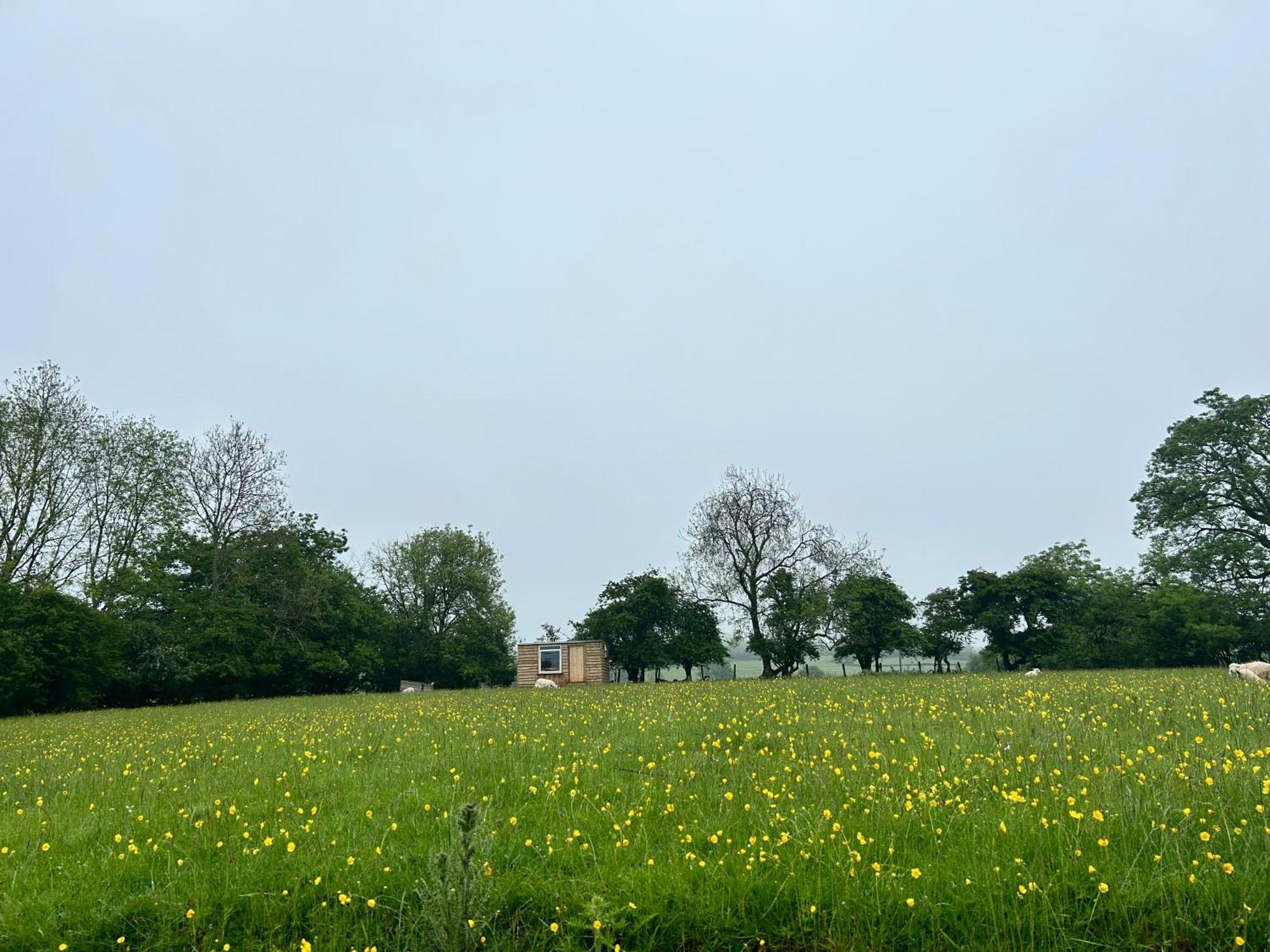 Off Grid Shepherds Hut Hotel Llansilin Buitenkant foto